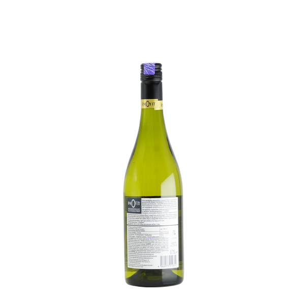 Enjoy It Sauvignon Blanc 750ml - Image 2